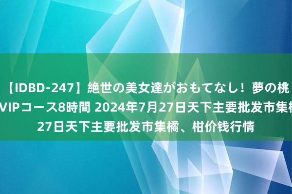 【IDBD-247】絶世の美女達がおもてなし！夢の桃源郷 IP風俗街 VIPコース8時間 2024年7月27日天下主要批发市集橘、柑价钱行情