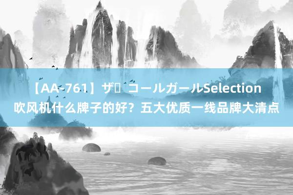 【AA-761】ザ・コールガールSelection 吹风机什么牌子的好？五大优质一线品牌大清点