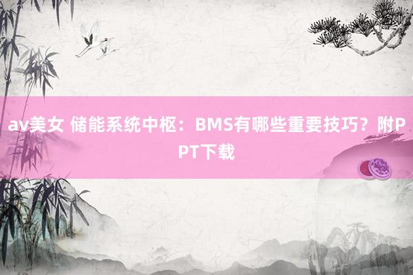 av美女 储能系统中枢：BMS有哪些重要技巧？附PPT下载