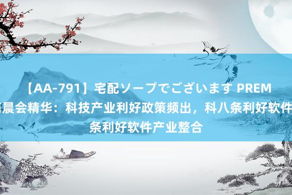 【AA-791】宅配ソープでございます PREMIUM 券商晨会精华：科技产业利好政策频出，科八条利好软件产业整合