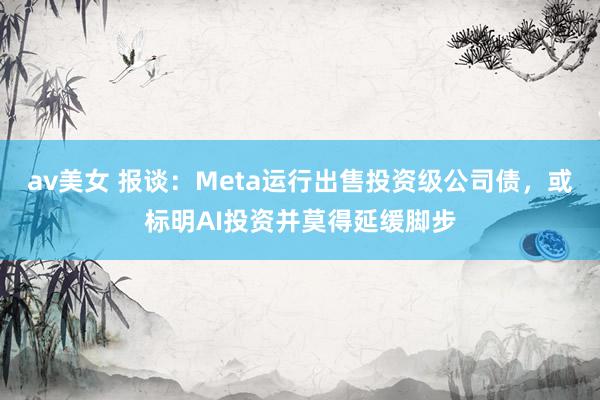 av美女 报谈：Meta运行出售投资级公司债，或标明AI投资并莫得延缓脚步