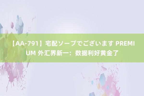 【AA-791】宅配ソープでございます PREMIUM 外汇界新一：数据利好黄金了