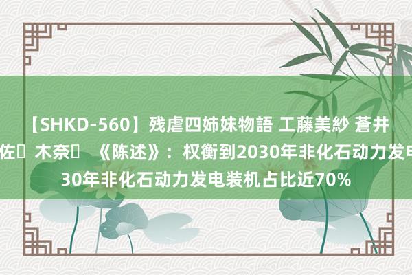 【SHKD-560】残虐四姉妹物語 工藤美紗 蒼井さくら 中谷美結 佐々木奈々 《陈述》：权衡到2030年非化石动力发电装机占比近70%