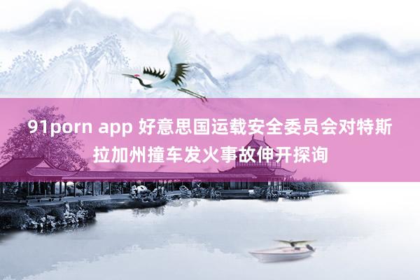 91porn app 好意思国运载安全委员会对特斯拉加州撞车发火事故伸开探询