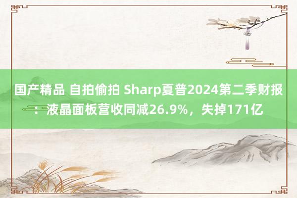 国产精品 自拍偷拍 Sharp夏普2024第二季财报：液晶面板营收同减26.9%，失掉171亿