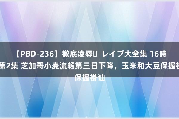 【PBD-236】徹底凌辱・レイプ大全集 16時間 第2集 芝加哥小麦流畅第三日下降，玉米和大豆保握褂讪