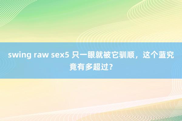 swing raw sex5 只一眼就被它驯顺，这个蓝究竟有多超过？