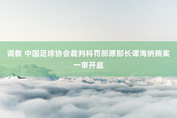 调教 中国足球协会裁判科罚部原部长谭海纳贿案一审开庭