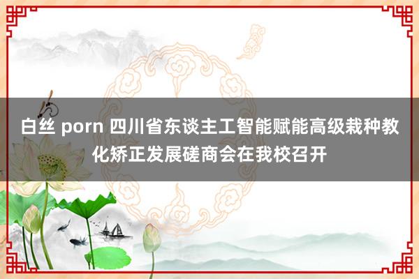 白丝 porn 四川省东谈主工智能赋能高级栽种教化矫正发展磋商会在我校召开